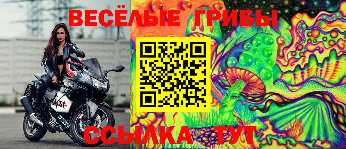 Псилоцибиновые грибы мухоморы Реж
